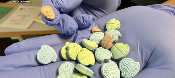 Detenido un hombre de 56 años por tráfico de droga en fiestas de Huércanos 6 pastis
